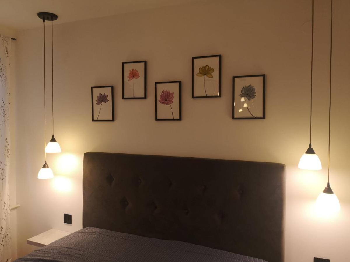 Apartman Darvin / Lux 贝尔格莱德 外观 照片