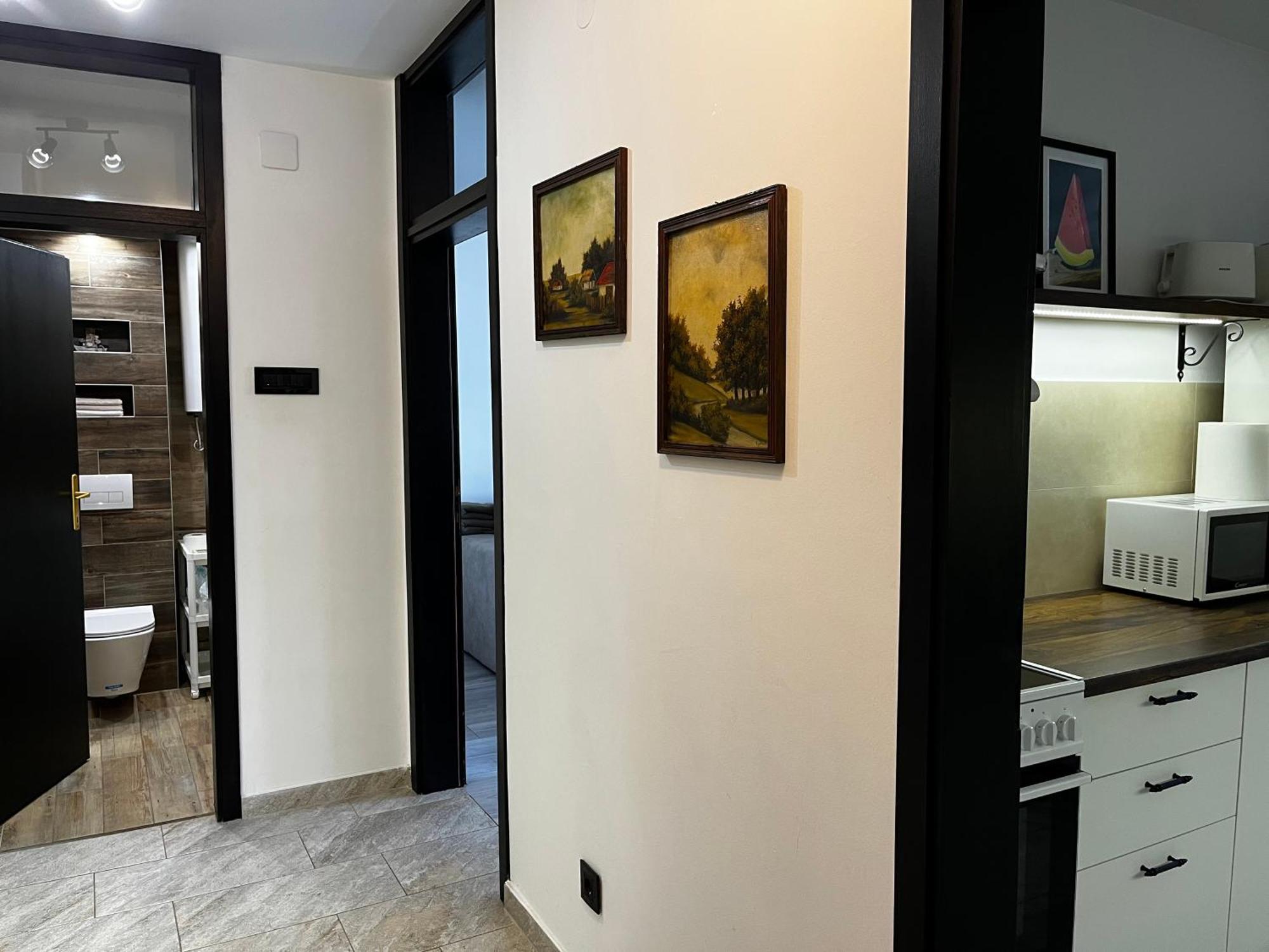 Apartman Darvin / Lux 贝尔格莱德 外观 照片